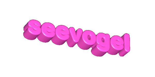 seevogel logo
